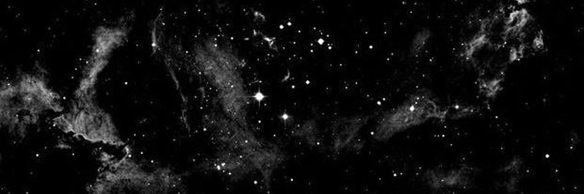 vicenfocus's profile banner image