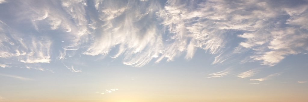 kate banner