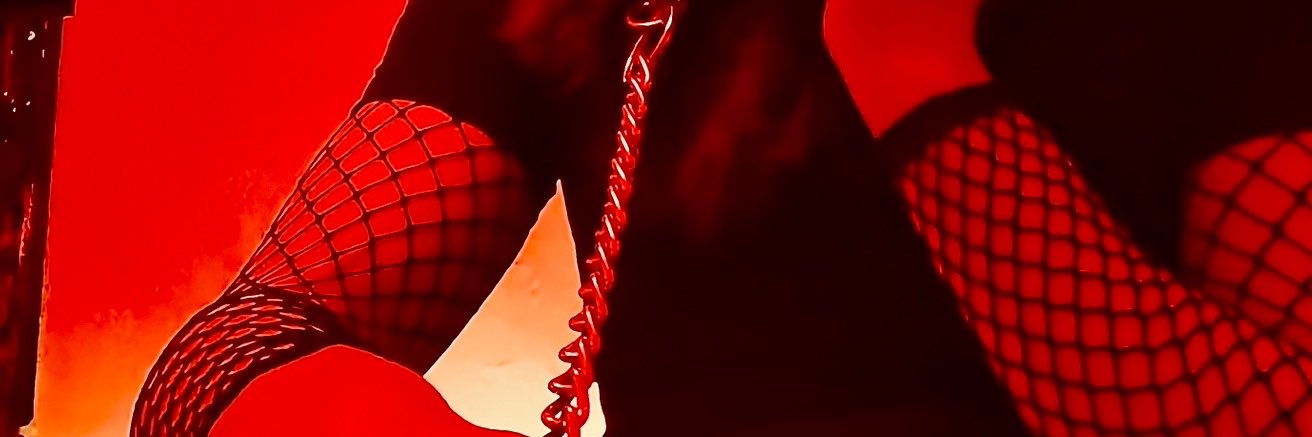 NoctDragonPriv's profile banner image