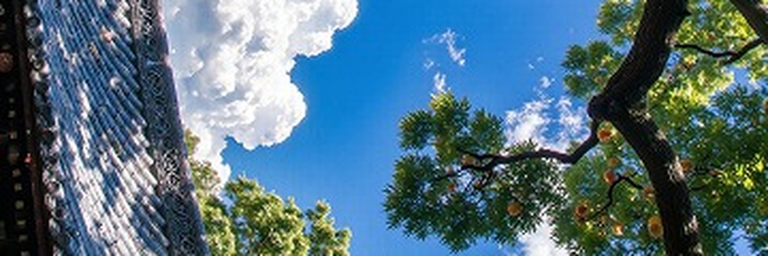 MilaFosterp3's profile banner image