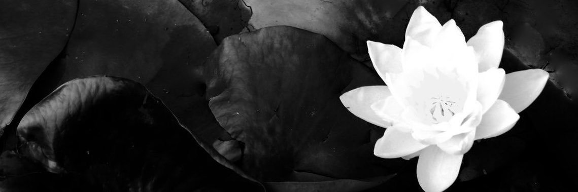 deyamccrorey's profile banner image