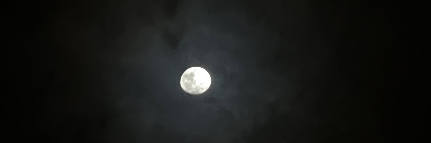troublmakerGirl's profile banner image