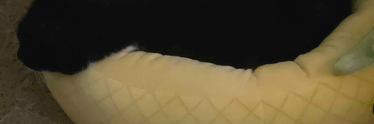 Jabeating's profile banner image