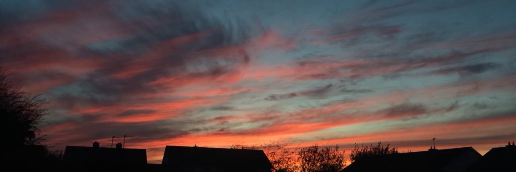 unentitled🦋 banner