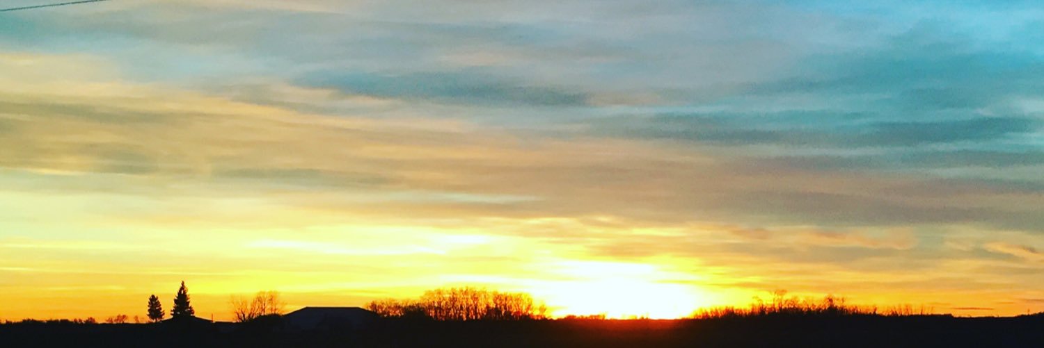 MollyJFogarty's profile banner image