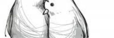 efe4qbh's profile banner image