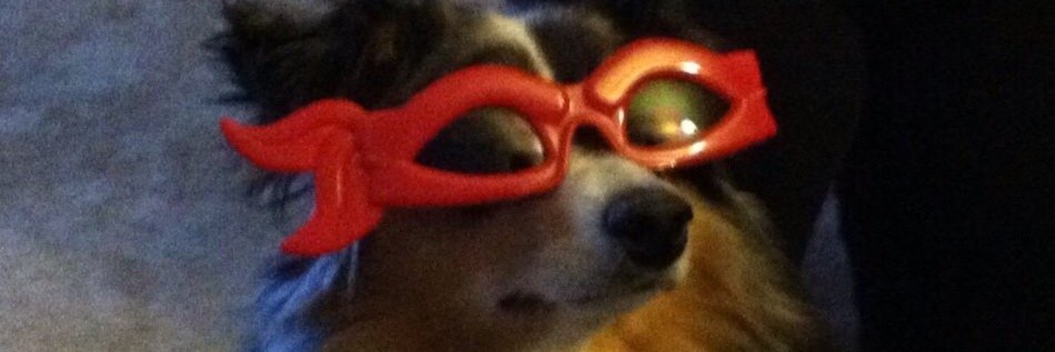 sebauer2's profile banner image