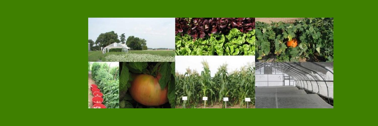 NWCH's profile banner image