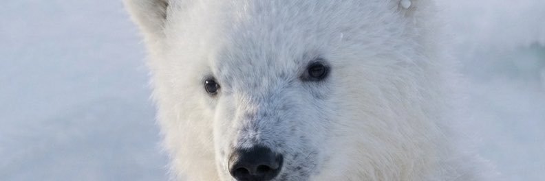 Thangld0210's profile banner image