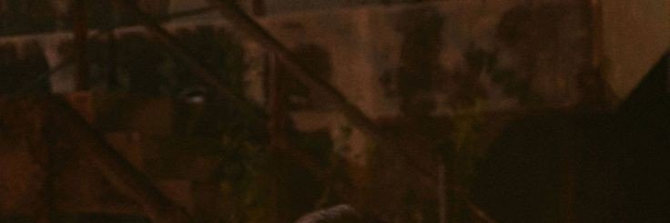 ninini88__'s profile banner image
