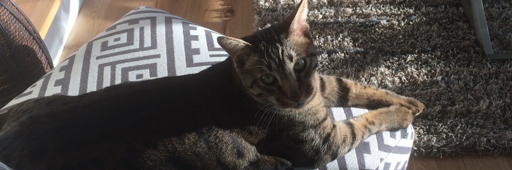 Jules-Edy Laraque banner