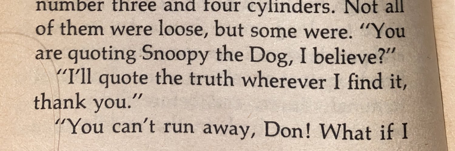 Valentina Palm banner