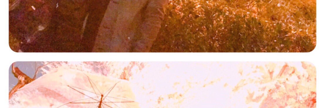 youkijack's profile banner image