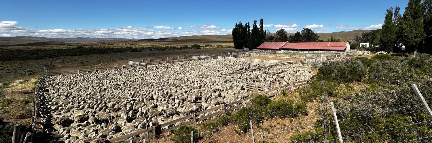 Christoph F. Schaer banner