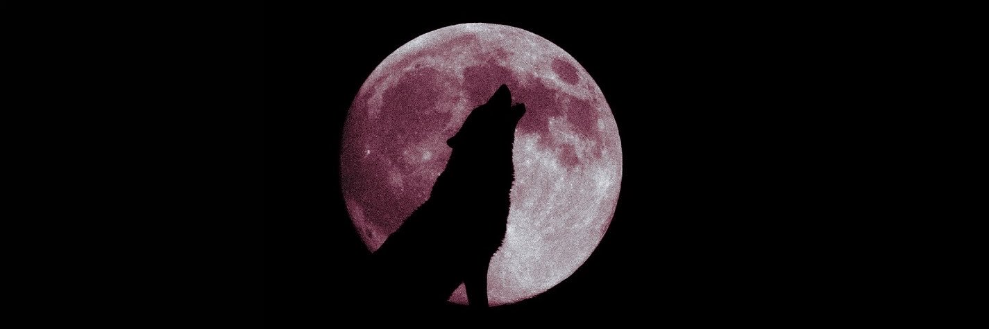 redw0lfs's profile banner image
