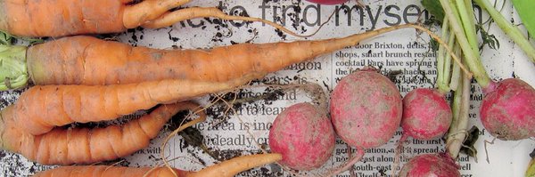 jenwillingham Profile Banner