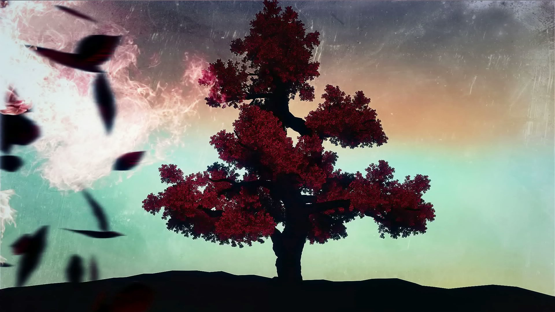 MissLaLax's profile banner image