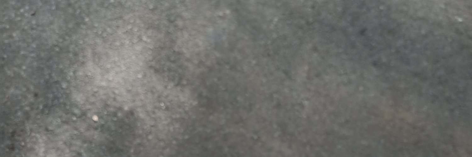 reganrcenn's profile banner image