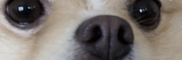 LucasCruikshank Profile Banner