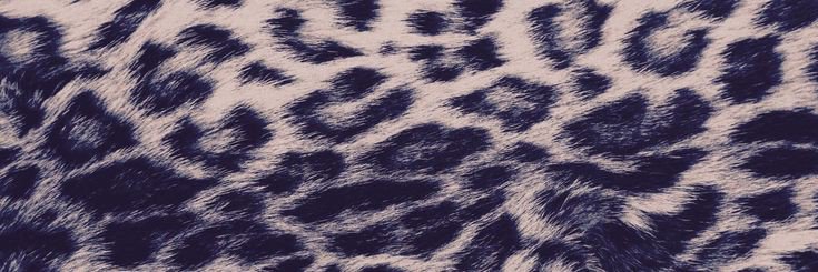 prillyic's profile banner image