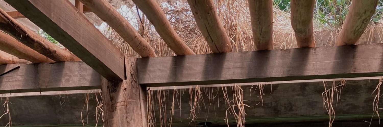 Thinkmore954's profile banner image