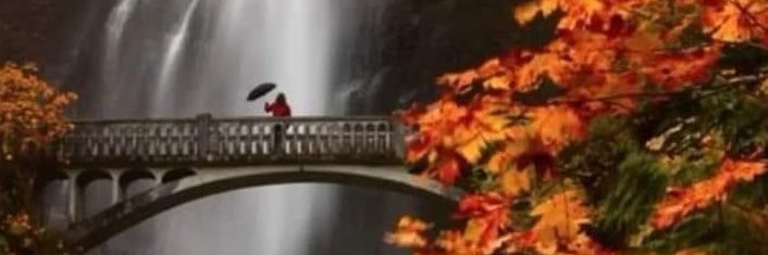 Sunitashah95's profile banner image