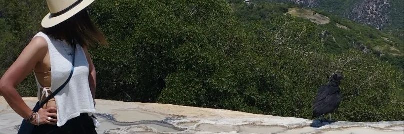 MVZNaye's profile banner image