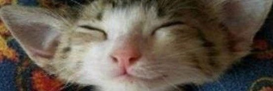 Janyabtw's profile banner image