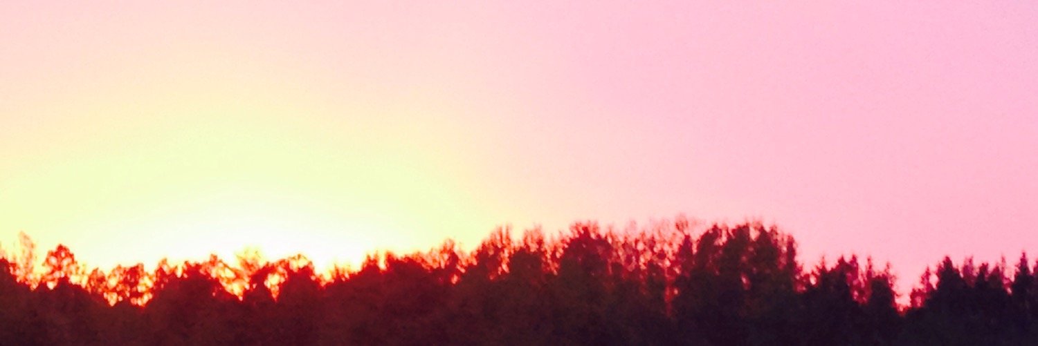 kelseykaina's profile banner image