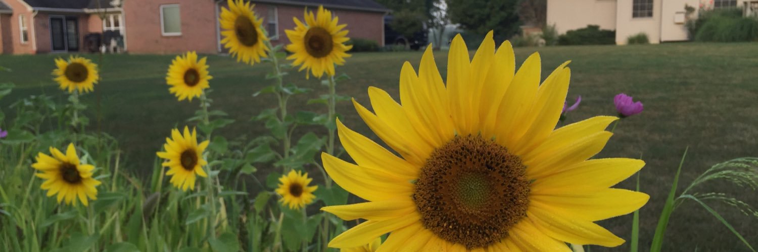 hgarlow's profile banner image