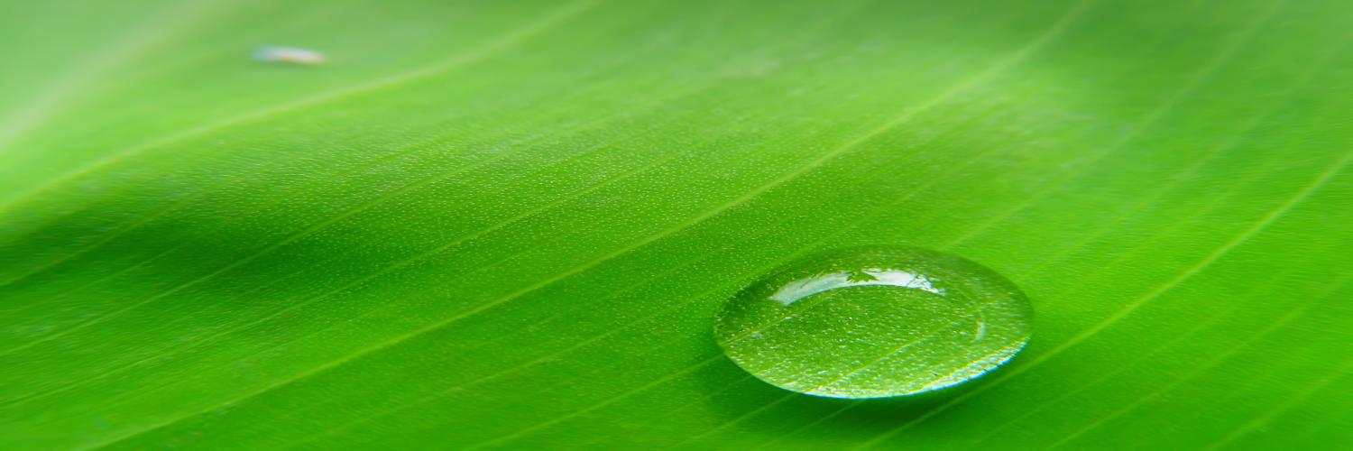 Clima_Tamps's profile banner image