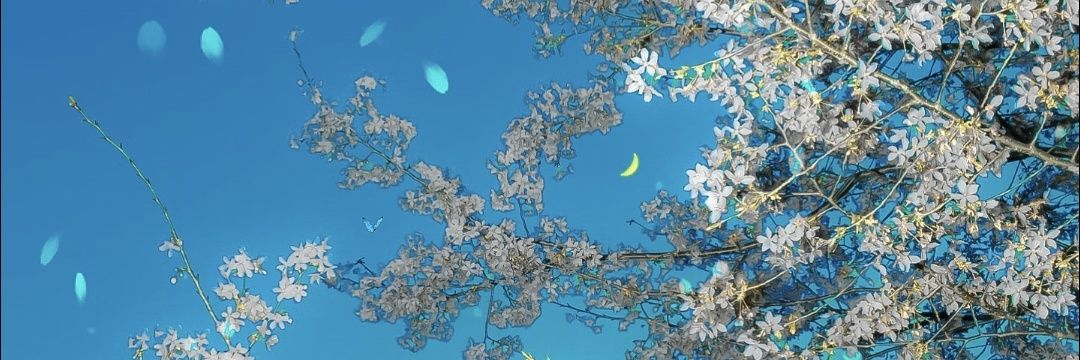 qvun3w's profile banner image
