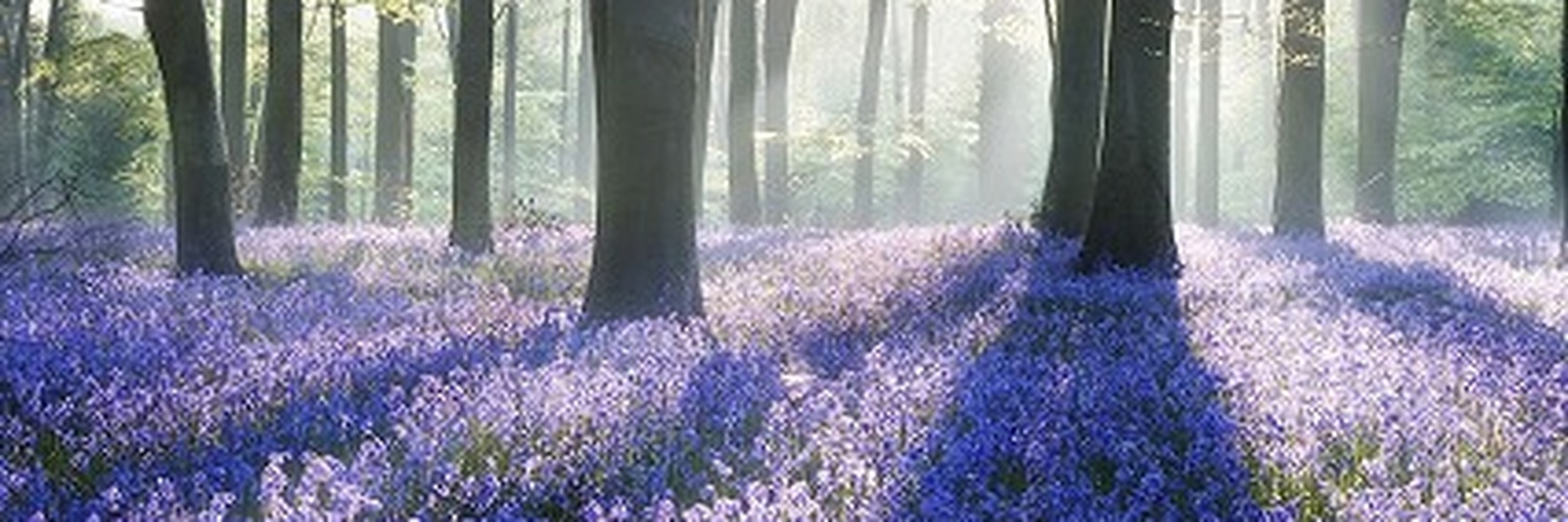 HopeFieldsyq's profile banner image