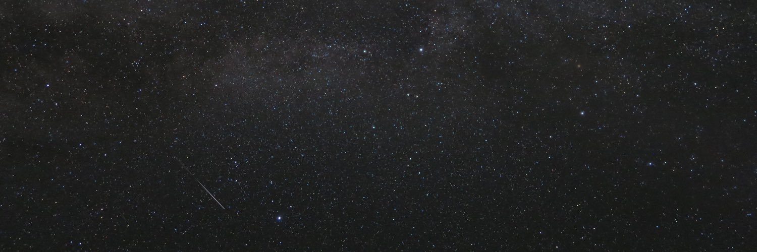 LizFeldkamp's profile banner image
