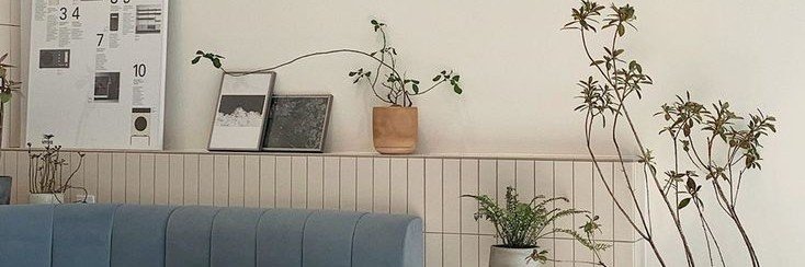 amboiwin's profile banner image
