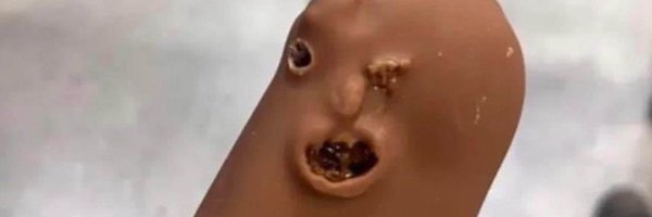 RobbKnows Profile Banner