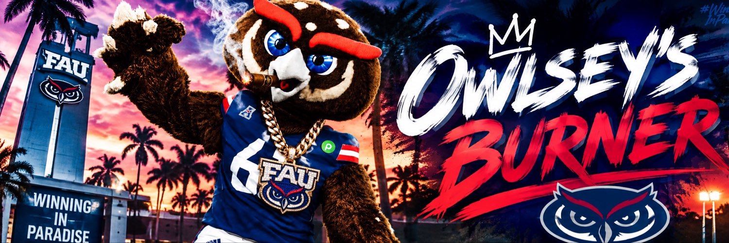 OwlseySaidSo's profile banner image
