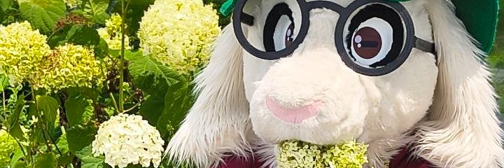 Rasmus_The_Goat's profile banner image
