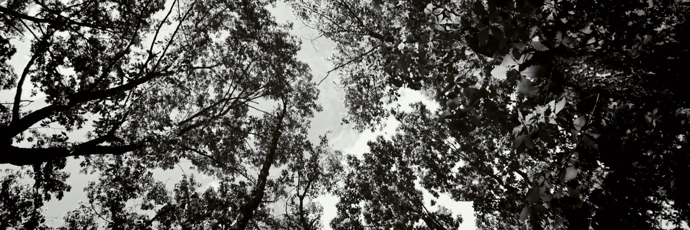 geddirp's profile banner image