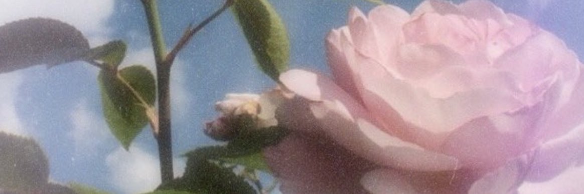 alixily's profile banner image