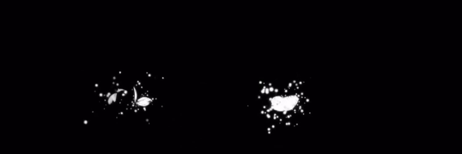 Moonlight9033's profile banner image