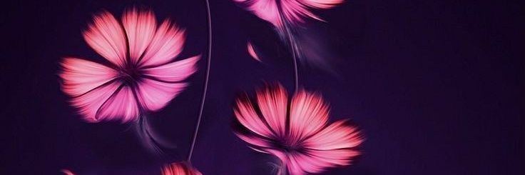 Rbahlan's profile banner image