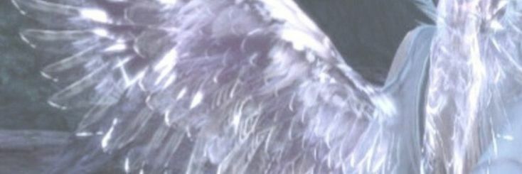 FollowerOfVirgo's profile banner image