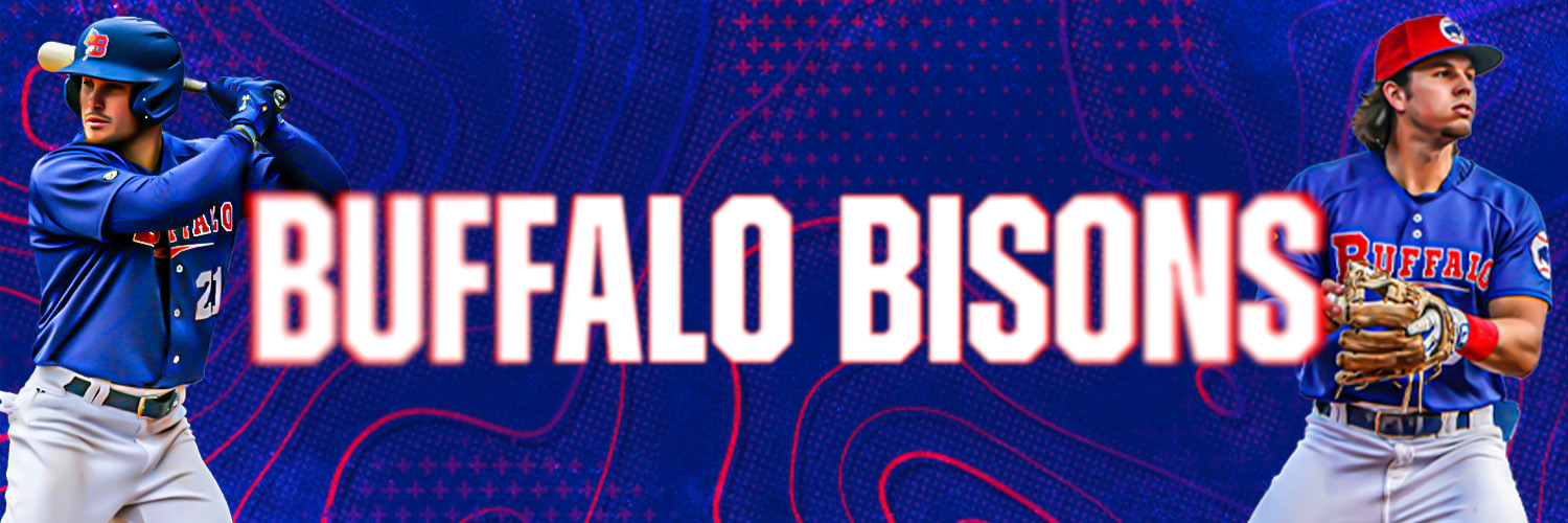 Buffalo Bisons's banner