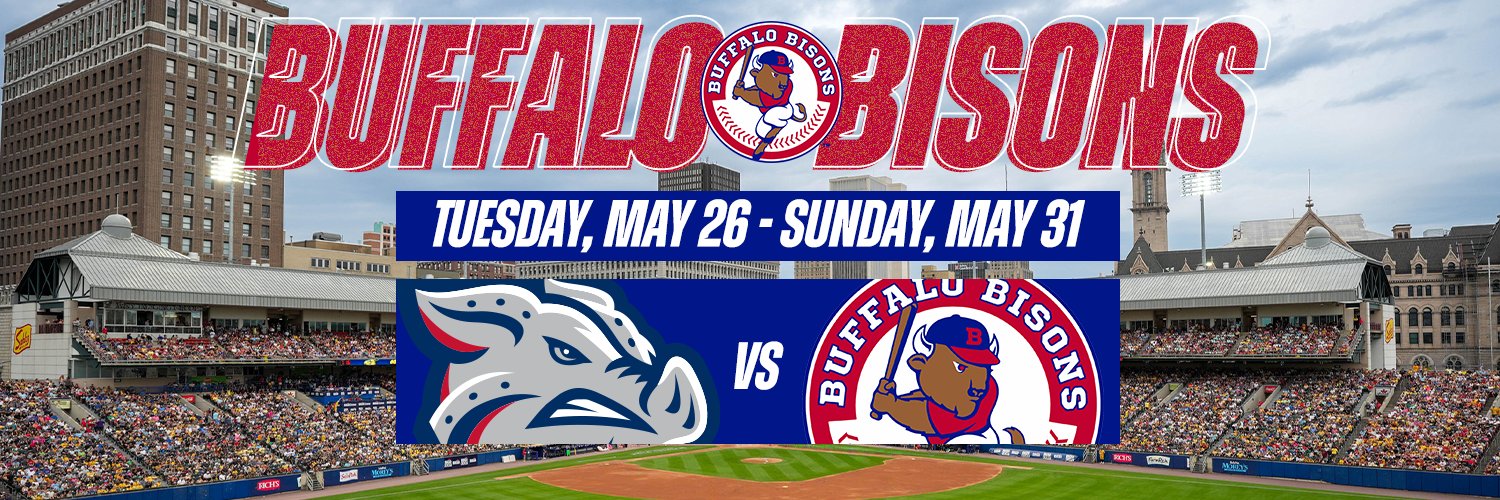 Buffalo Bisons banner