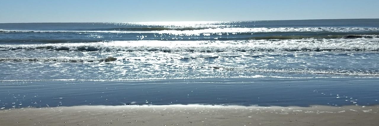 🐩ANNA ☕🐩🤫 banner