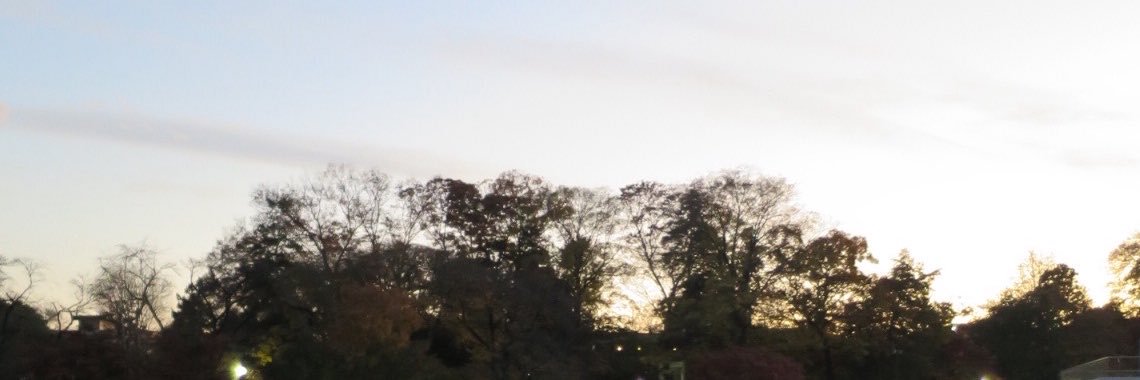 knacha_'s profile banner image