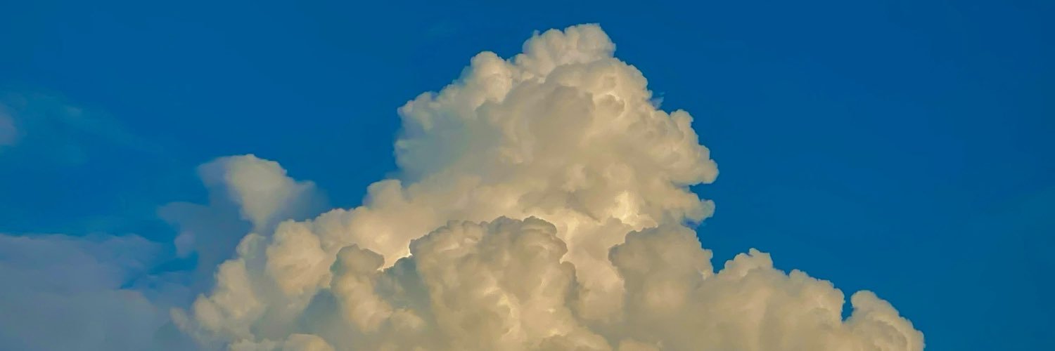 LMSTARLIGHT06's profile banner image