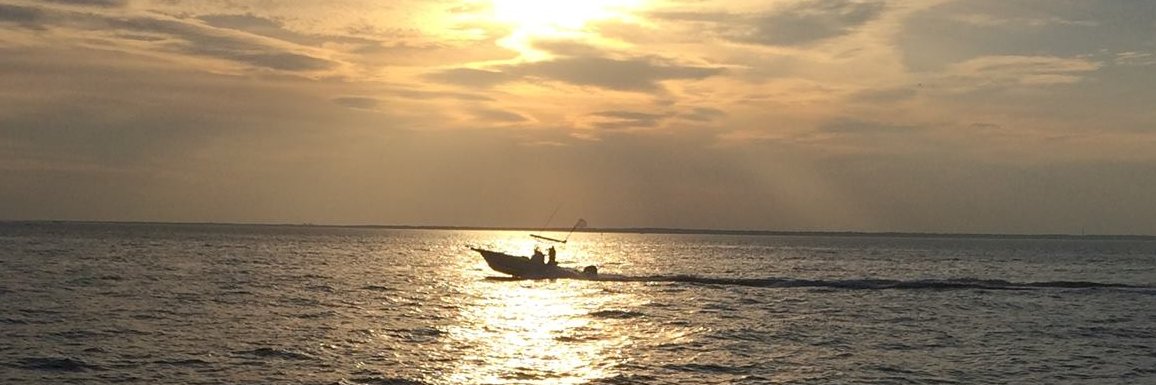 tomgeoffroy's profile banner image