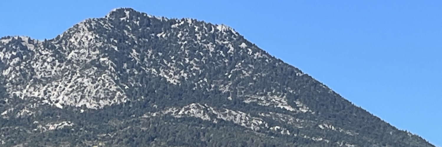 Nicholas Samios banner